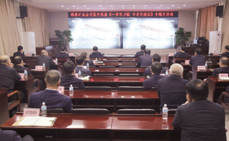公司黨委組織集中觀(guān)看《一步不停歇 半步不退讓》專(zhuān)...