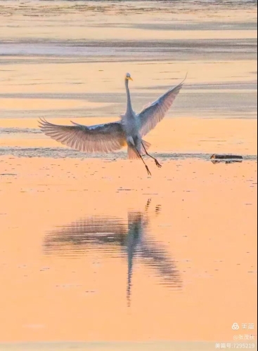 微信圖片_20260313140415_313_91 微信圖片_20260313140415_313_91