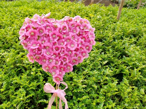 微信圖片_20260327142327_458_91