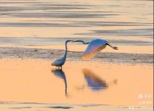 微信圖片_20260408142908_221_24