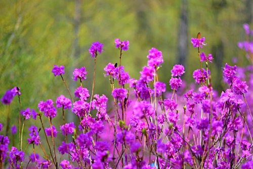 微信圖片_20260420144627_665_91